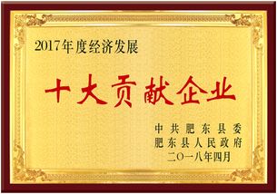 熱烈慶祝安徽皖信人力資源管理榮獲肥東縣經(jīng)濟發(fā)展大會雙項獎，樹立人力資源服務新標桿
